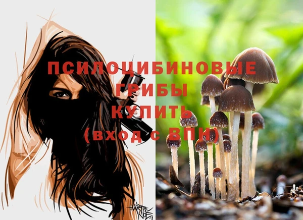 ECSTASY Ладушкин