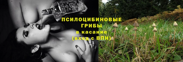 спиды Лагань
