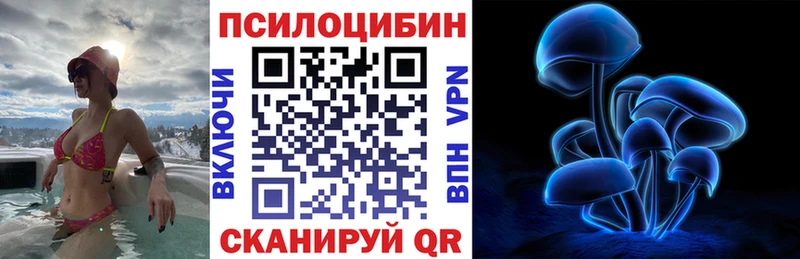 Купить где  Артёмовск  Псилоцибиновые грибы Cubensis 